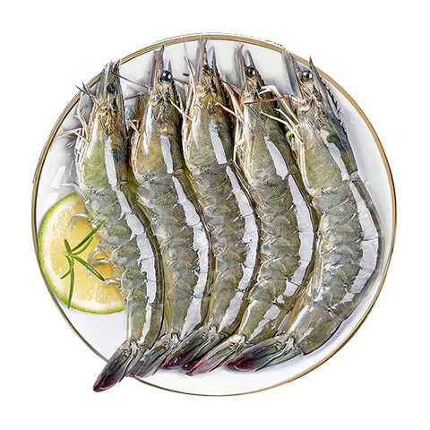 鱻謠 XIAN YAO 鹽凍大蝦白蝦 40-50 凈重1.5kg*3件