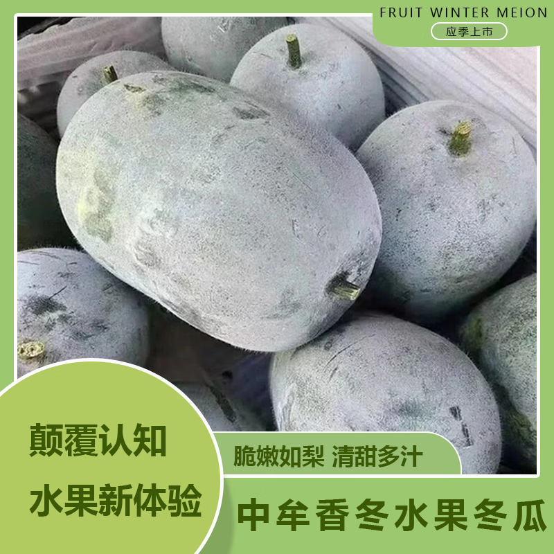甄仙緣 新鮮小冬瓜 煲湯燉肉掛霜小冬瓜 凈重4.5-5斤（2-3個）
