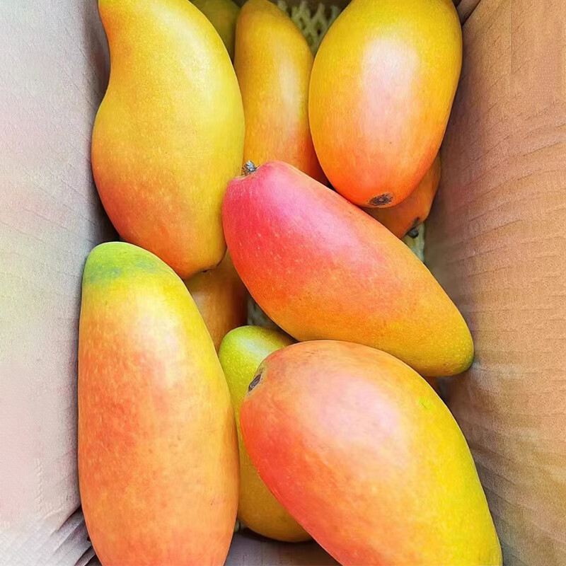 微信小程序:鮮寶道 廣西貴妃芒果5斤 大果 單果150g+