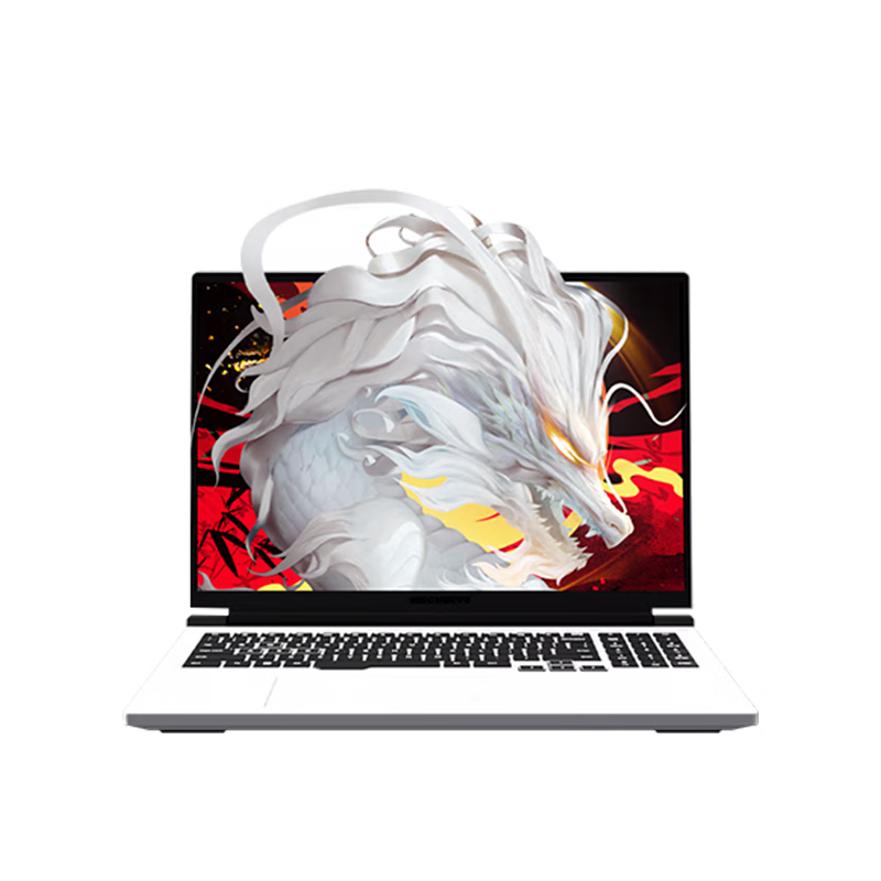 機械革命 電競游戲筆記本電腦 蛟龍16Pro 16英寸、R7-7745HX、16G、512G、RTX4060、240Hz、2.5K、白