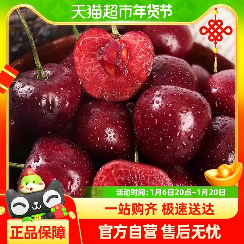 羅太號 智利進口4J車厘子新鮮水果當季櫻桃禮盒整箱進口高端孕婦特級
