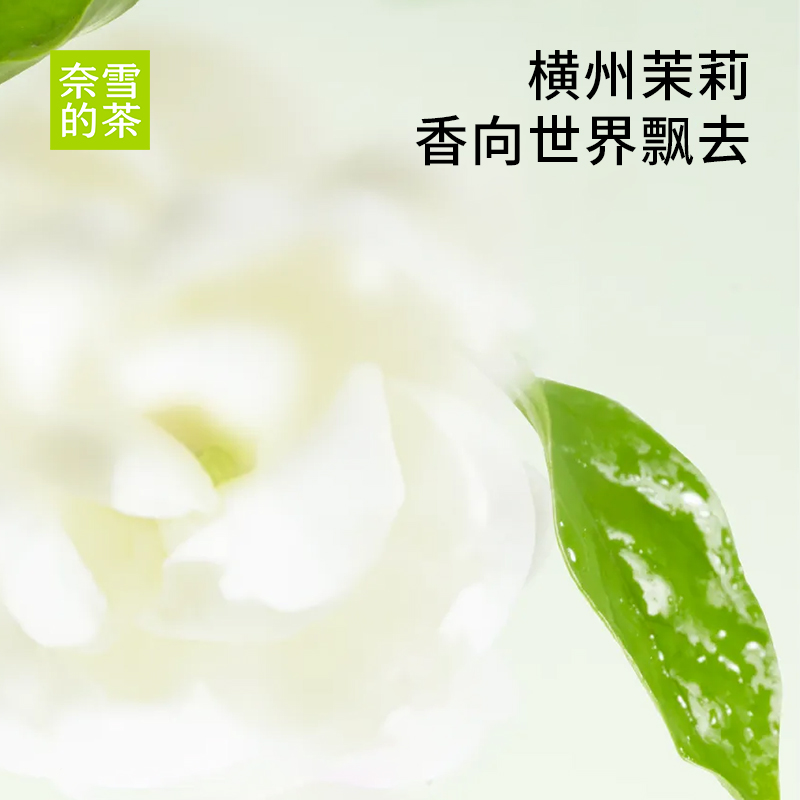 nayuki 奈雪 的茶 奈雪茉莉初雪/中杯 2杯裝 門店奶茶飲料電子券