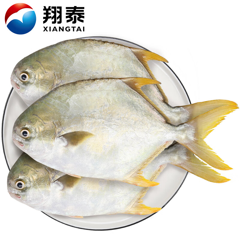 翔泰 海南深海金鯧魚2.4斤/3-4條凈重
