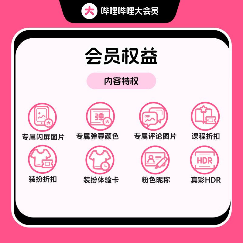嗶哩嗶哩 bilibili vip會員12個月年卡B站年度大會員