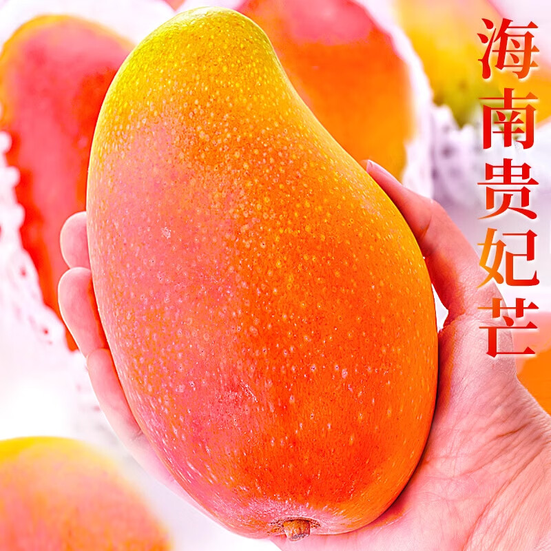 元珍鮮誠海南貴妃芒果 新鮮水果 孕婦整箱現摘當季熱帶紅金龍芒果 彩虹 芒 5斤(凈果4.5斤)單果150g+ 源頭嚴選 甄選品質