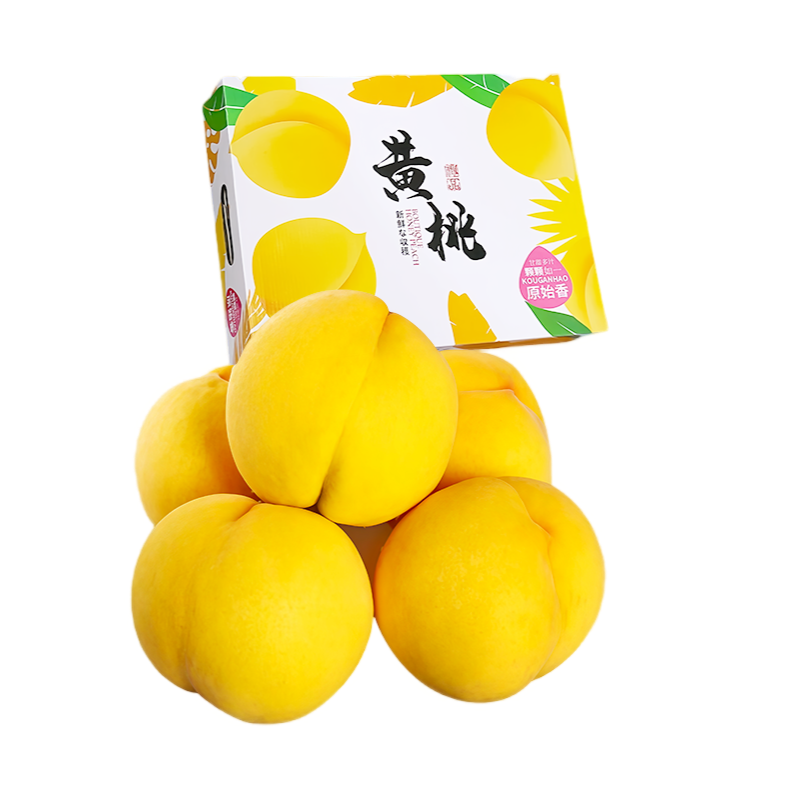 蒲戀 山東蒙陰黃桃【地標(biāo)授權(quán)】新鮮水果現(xiàn)摘現(xiàn)發(fā) 5斤精選裝泡沫托
