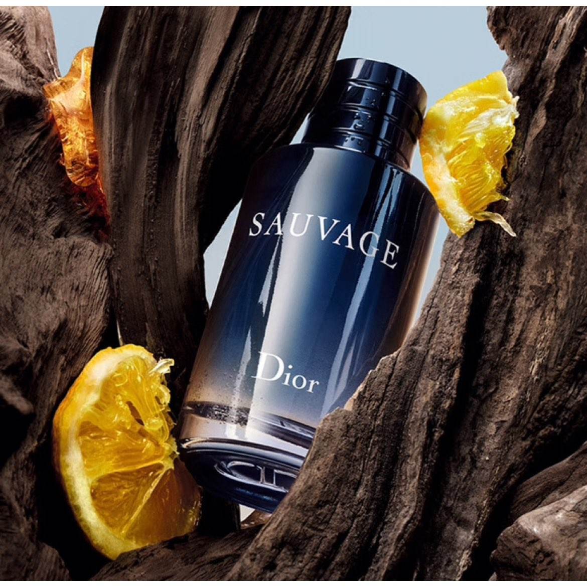 Plus:迪奧（Dior）曠野男士淡香水 100ml 木質(zhì)香調(diào) 淡香水EDT