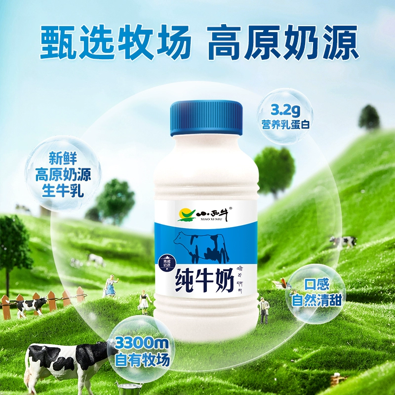 小西牛 青海純牛奶 243mL*12瓶*2箱