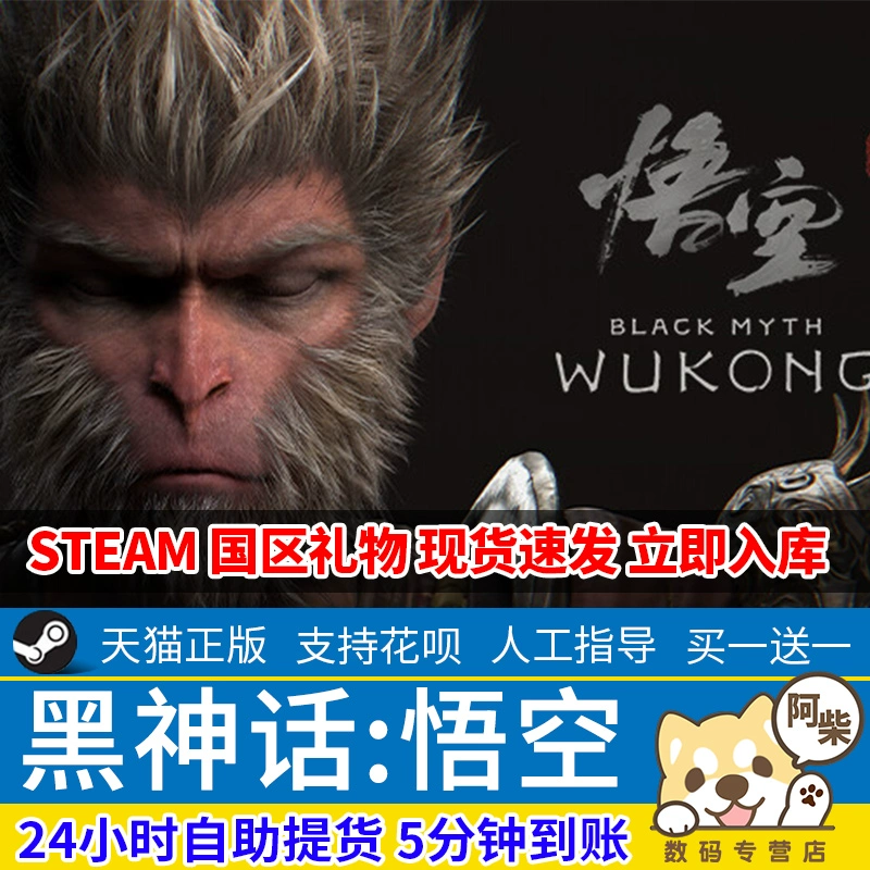 Steam正版 黑神話悟空 國區(qū)禮物激活
