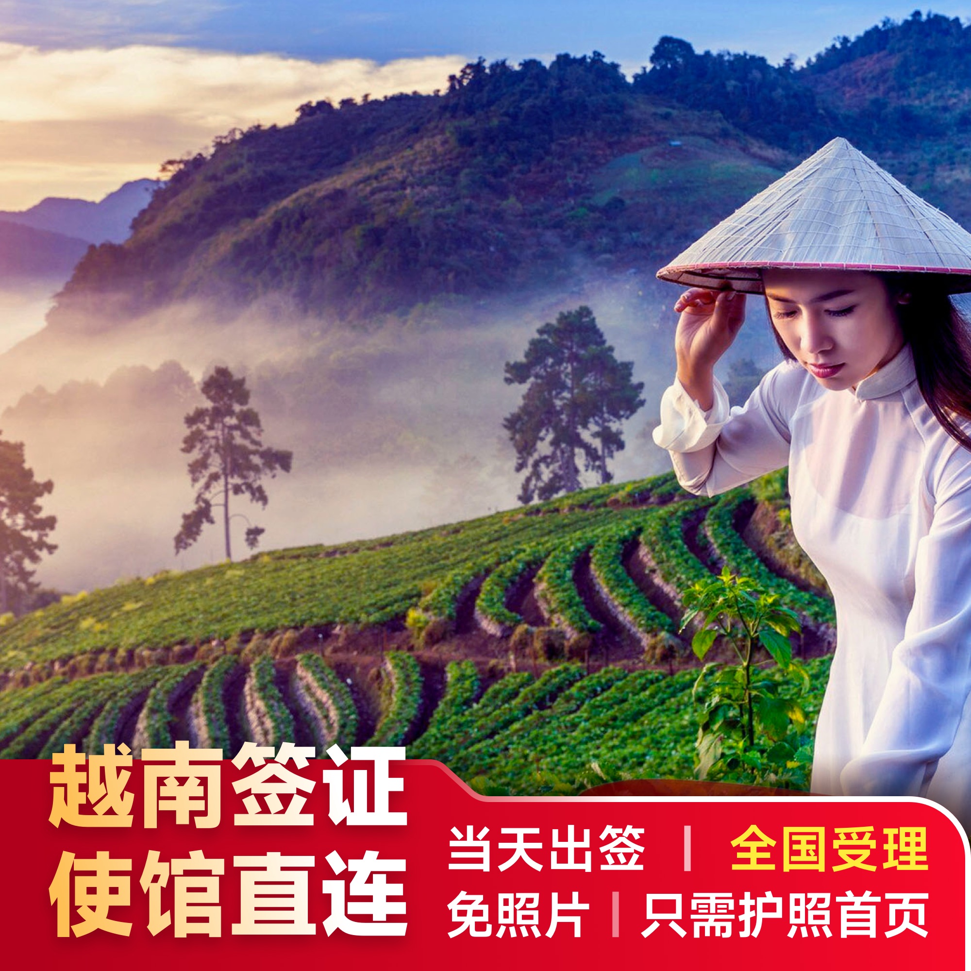 越南·一個月單次入境·移民局網站·