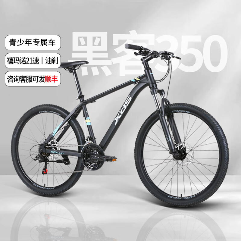 XDS 喜德盛 黑客350 山地自行車 17