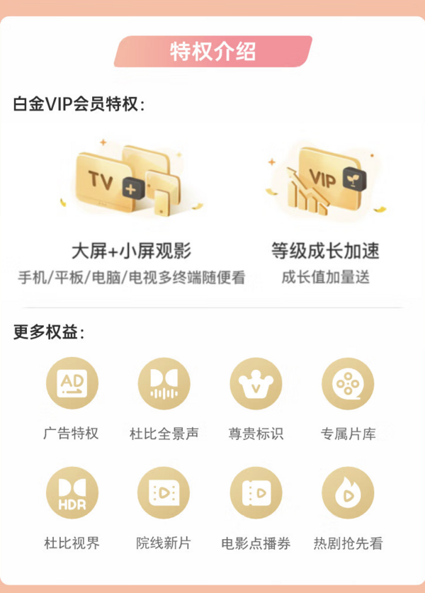 愛奇藝 白金VIP會員年卡 12個月