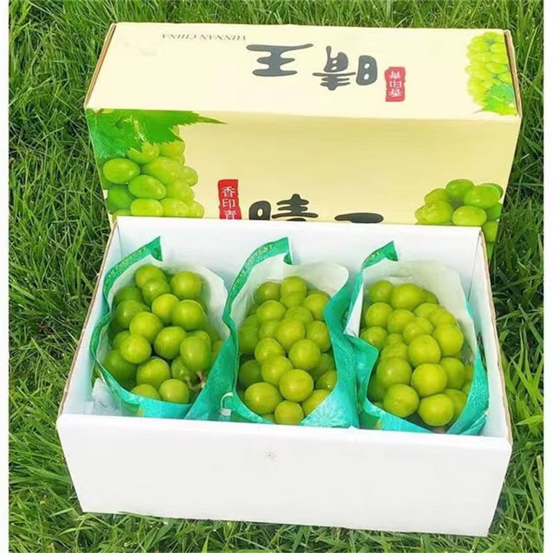 梔舒 陽光玫瑰葡萄 2.5斤裝（特大果12-18克) +順豐 京東配送