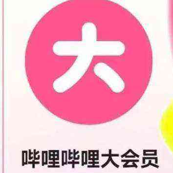 嗶哩嗶哩大會員一年