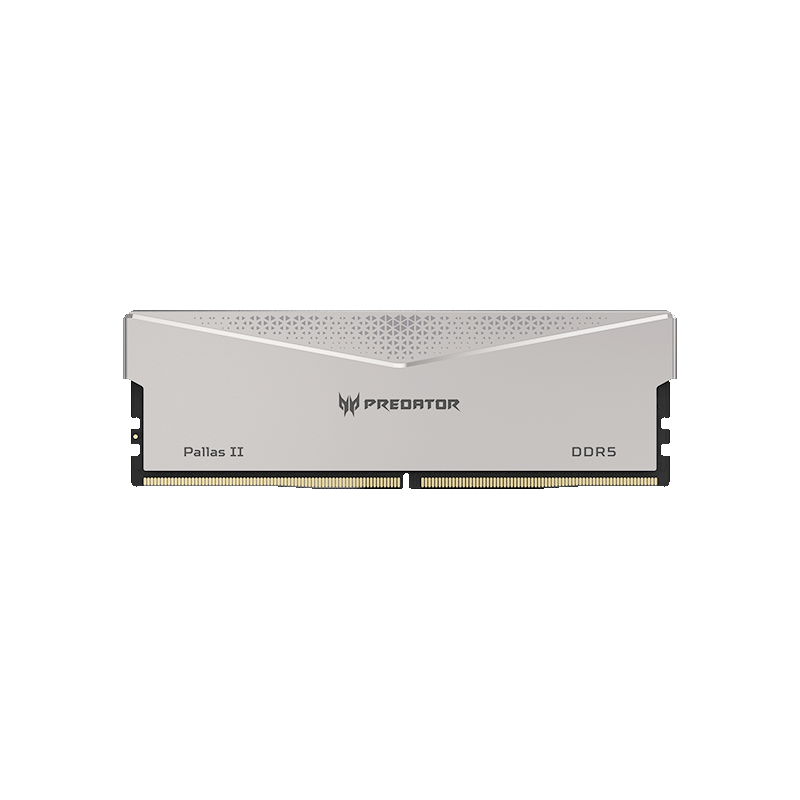 PLUS會員: 宏碁掠奪者（PREDATOR）48G(24G×2)套裝 DDR5 6000頻率 臺式機內存條 Pallas II 凌霜系列(C28)石耀黑 AI電腦存儲配件