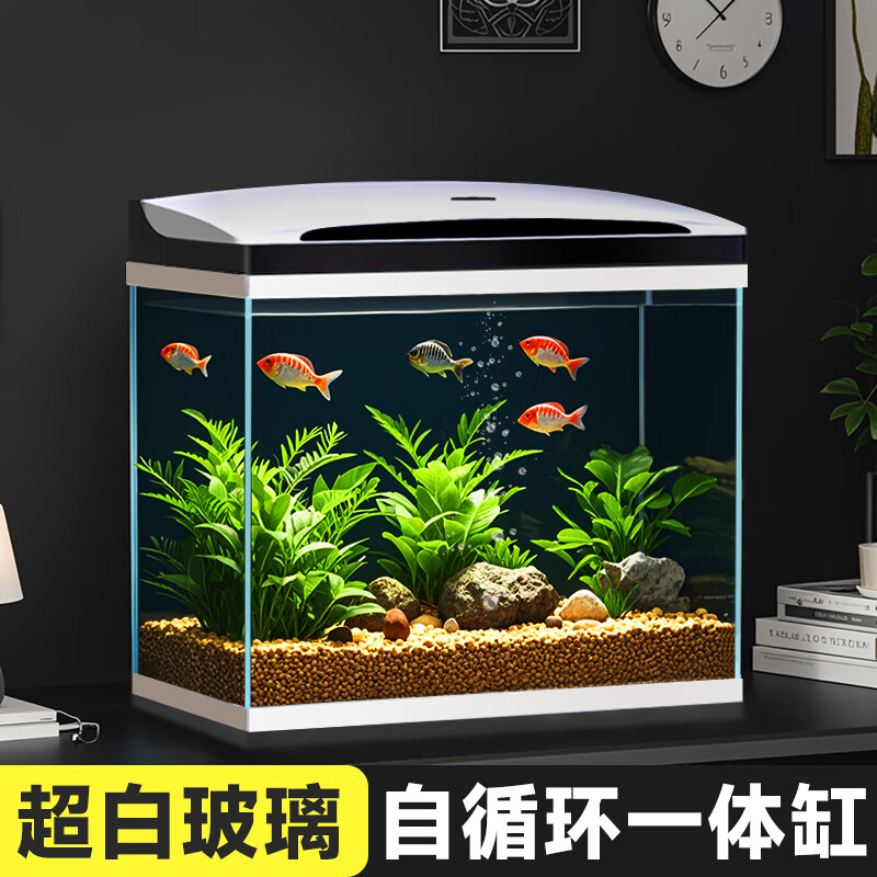 長銳 CHANGRUI 魚缸一體缸自循環(huán)免換水家用客廳桌面小型金魚缸超白玻璃養(yǎng)魚缸 超白CRV200-A標(biāo)配【長20cm】