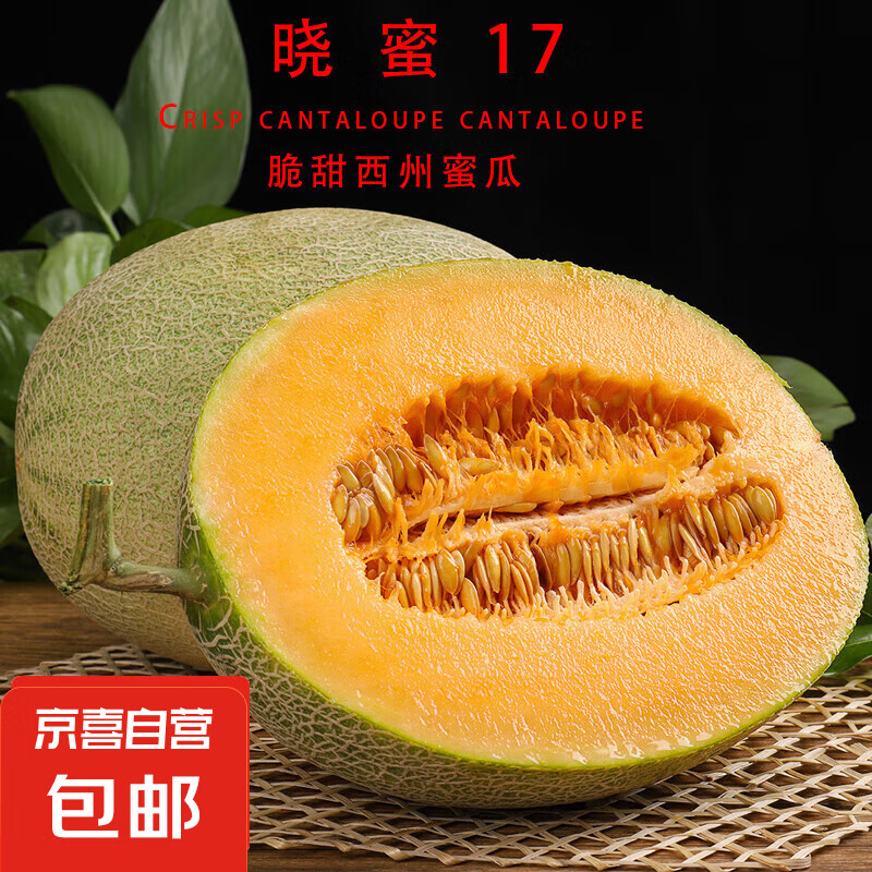 PLUS包郵：正宗山東哈密瓜曉蜜17新鮮現(xiàn)摘當季水果甜瓜 3-3.5斤