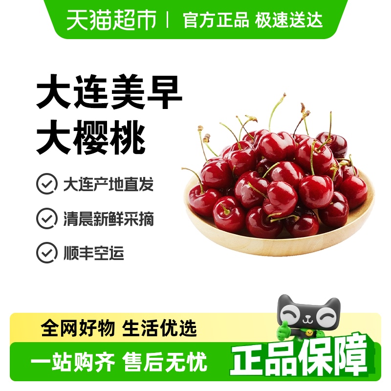 喵滿分 現(xiàn)摘現(xiàn)發(fā)大連美早櫻桃國(guó)產(chǎn)車?yán)遄? class=