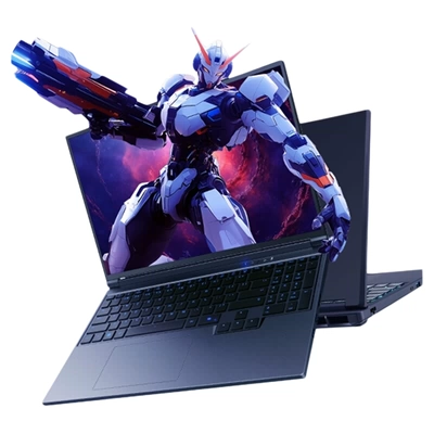百億補(bǔ)貼、再降價(jià):MECHREVO/機(jī)械革命 曠世X系列 2025 i5+5060顯卡 16英寸 16+1TB