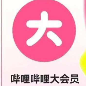 嗶哩嗶哩大會員一年