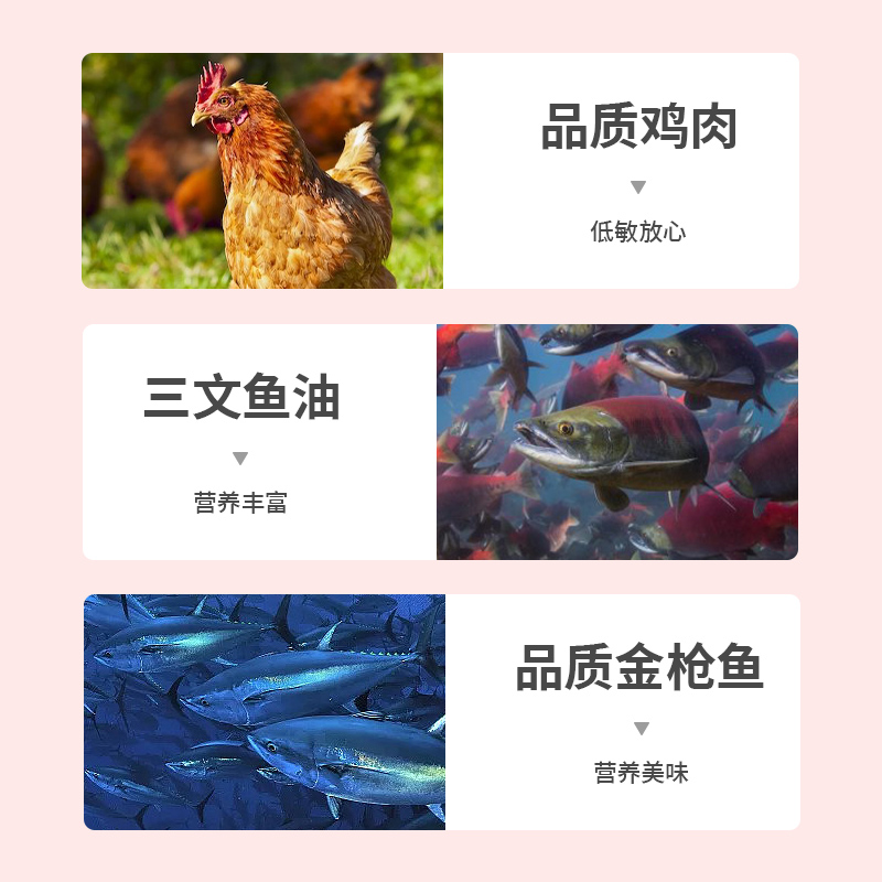 HIPPO 喜寶 喬瑟琳貓糧試用裝30g*10成貓幼貓通用型布偶藍貓英美短高蛋白