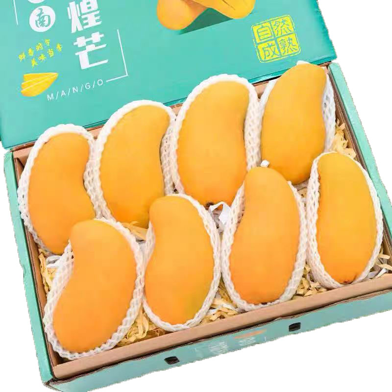 精選金煌芒果 凈重4.5斤（特大果）單果400g+