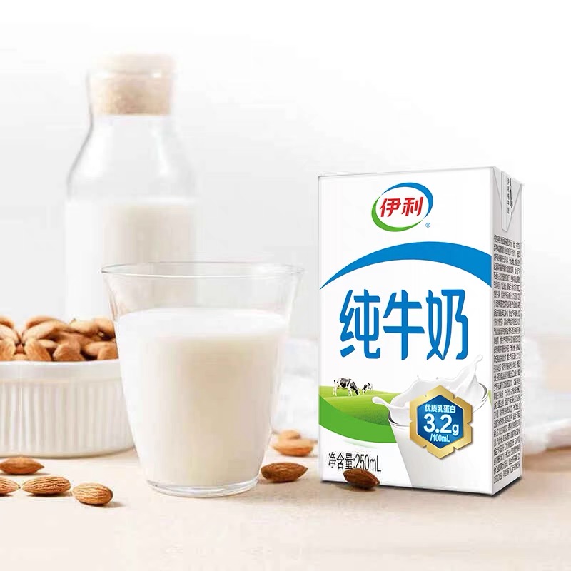 伊利 純牛奶250ml*21盒