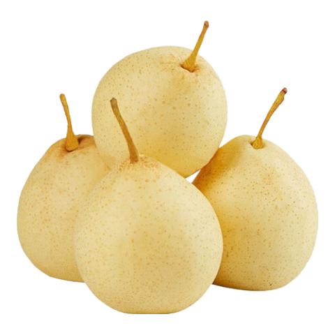 百億補貼：皇金蜜河北正宗鴨梨 凈重4.5斤（單果200G+)