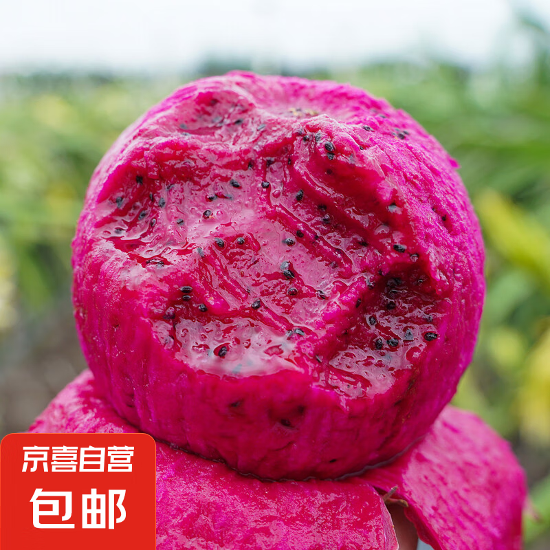 湖南紅心火龍果 金都一號（4.5斤單果300g+