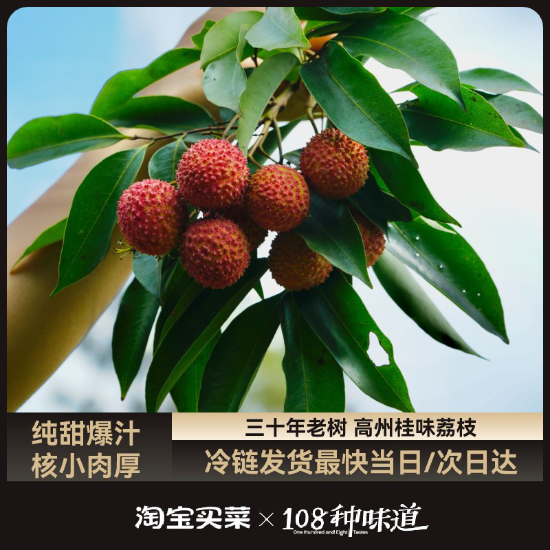 108種味道x淘寶買菜 桂味荔枝 4.5斤凈重 16g+單果 禮盒裝