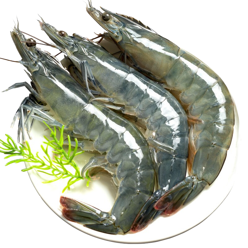 蝦有蝦途 XYXT 新鮮青島大蝦 單只15-17厘米 2kg