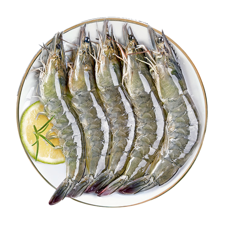 鱻謠 XIAN YAO 鹽凍大蝦白蝦 40-50 凈重1.5kg