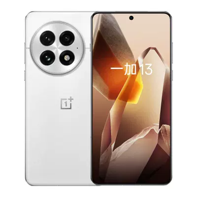 百億補貼:一加 13 16+512GB 高通驍龍8至尊版 6000mAh冰川電池 AI旗艦影像性能手機