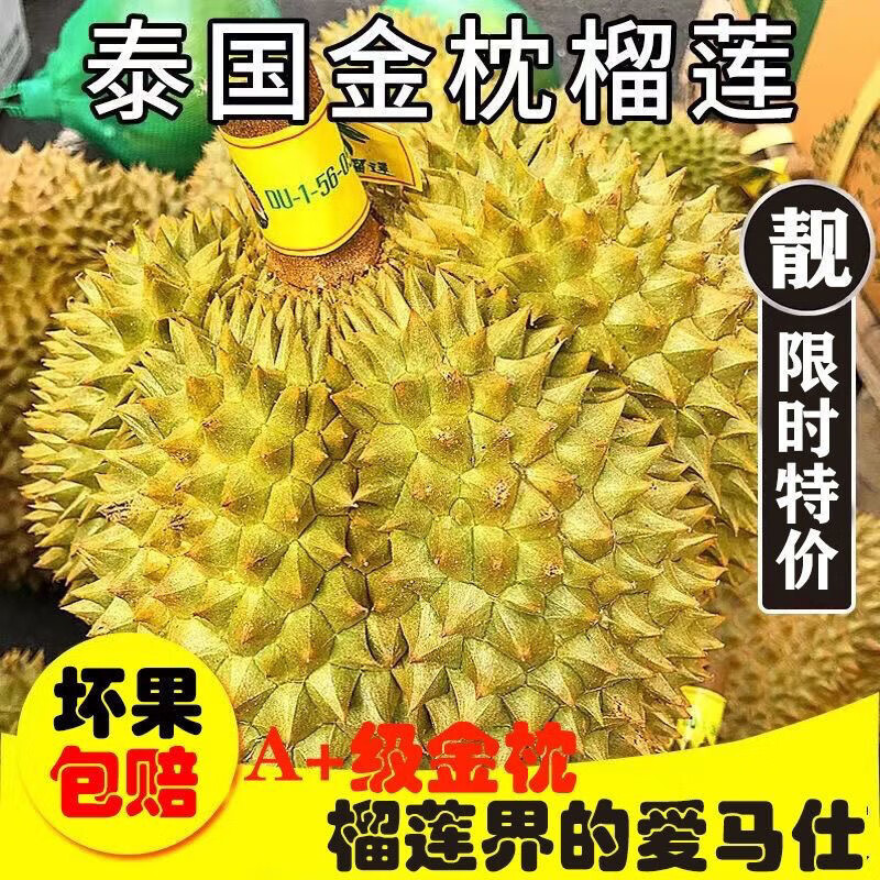 時茂 金枕榴蓮泰國巴掌榴蓮金枕頭新鮮水果整個帶殼 凈重2-3斤（一個裝）