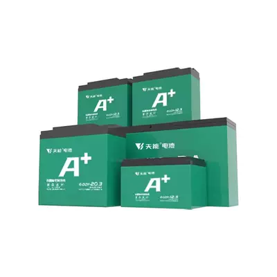 天能電池48V12Ah