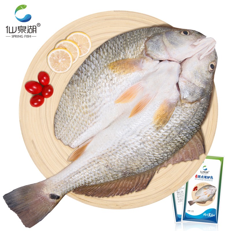 仙泉湖 斑點尾鱸魚 500g
