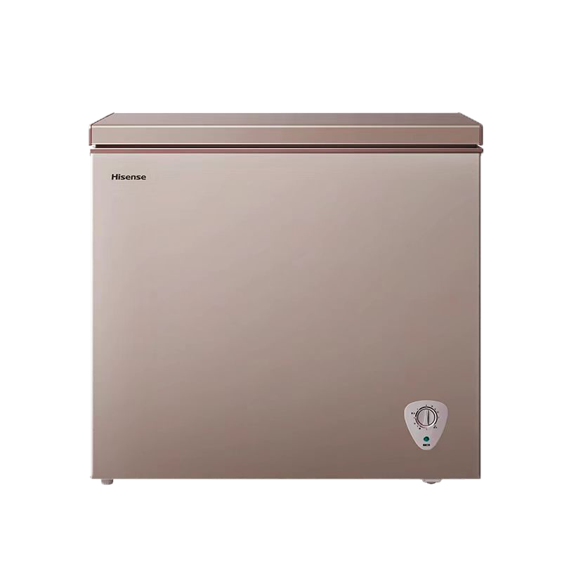 海信（Hisense）145升冰柜家用小型囤貨冷柜 一級能效冷藏柜冷凍柜單溫 母嬰母乳小冰箱BD/BC-145NUD