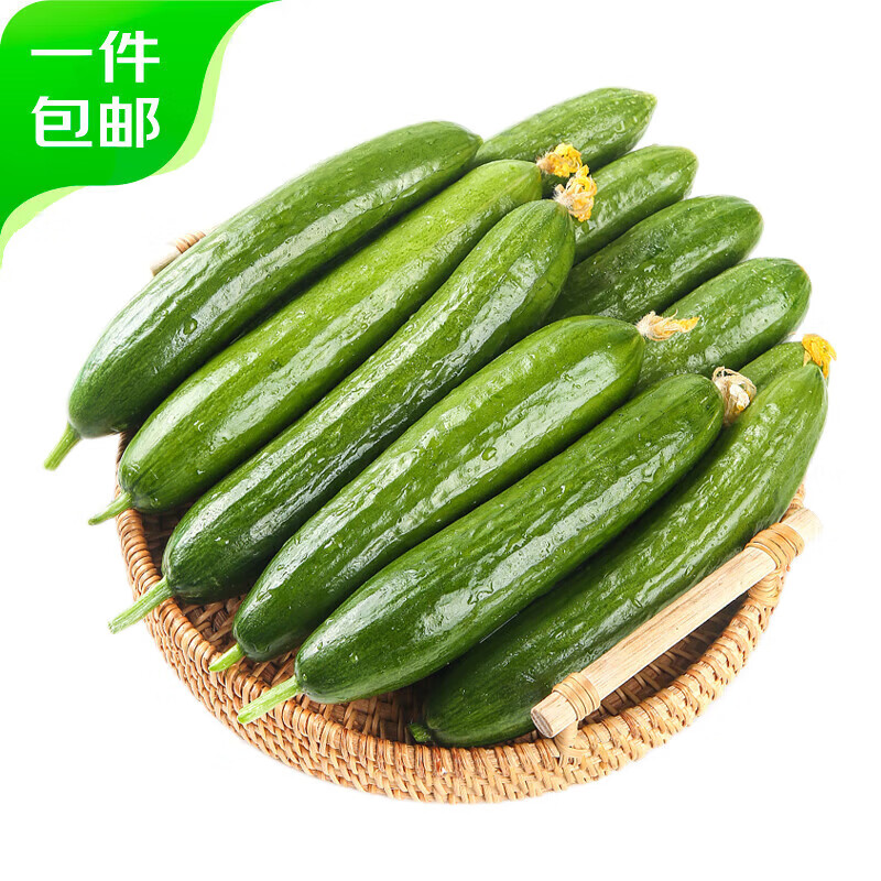 京百味 山東水果小黃瓜 2.5kg裝