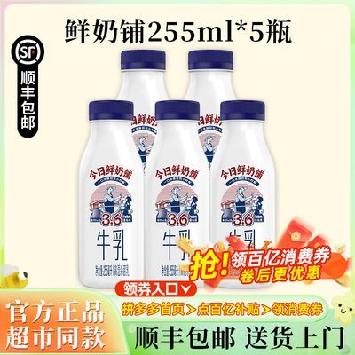 【順豐】新希望今日鮮奶鋪255ml*10瓶裝營(yíng)養(yǎng)早餐牛奶香濃美味優(yōu)選