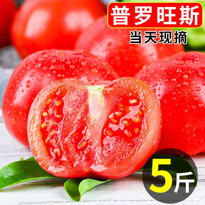 果迎鮮西紅柿 普羅旺斯西紅柿新鮮生吃番茄沙瓤西紅柿 5斤中果25個左右