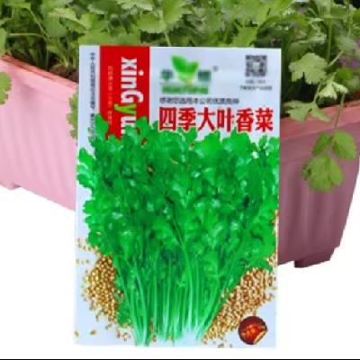 88VIP：景趣 蔬菜種子合集 四季香菜約 500粒/件*2件