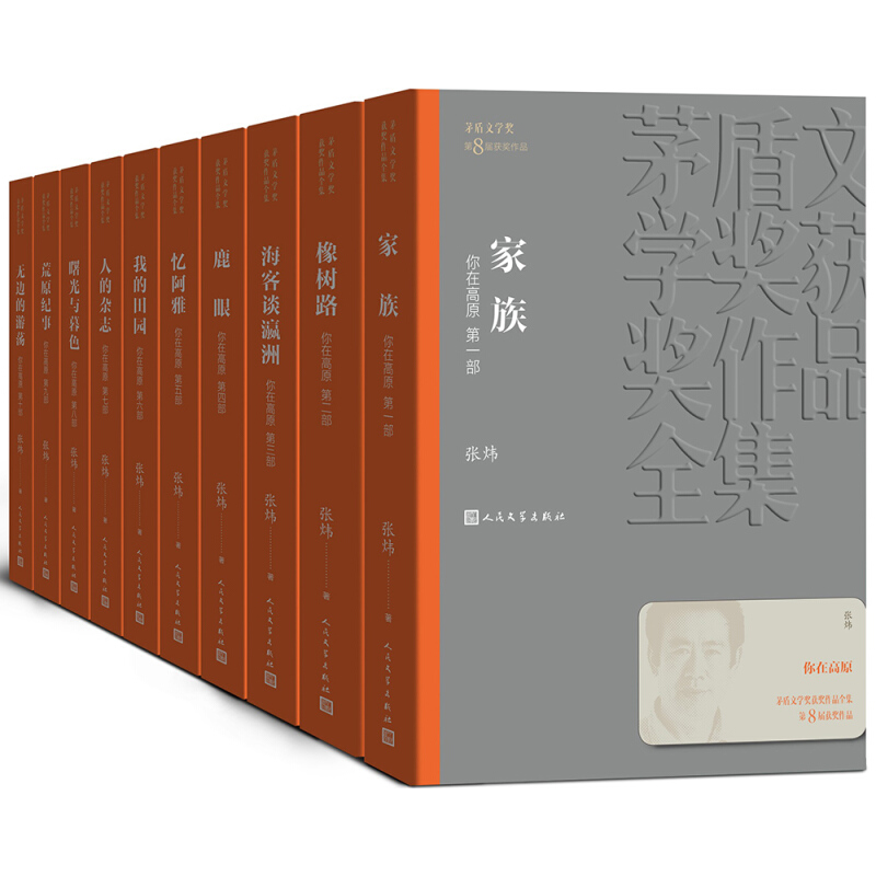 《茅盾文學獎獲獎作品全集：你在高原》（1-10）