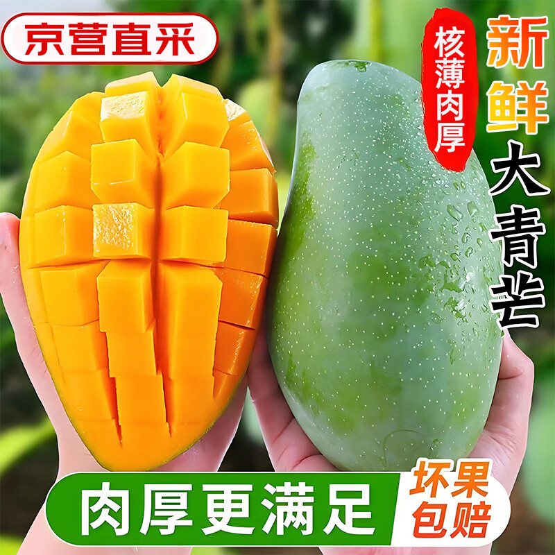 庾豐 當季新鮮金煌芒新鮮現摘芒果水果 熱帶整箱當季芒果 凈重9斤裝 單果200g+