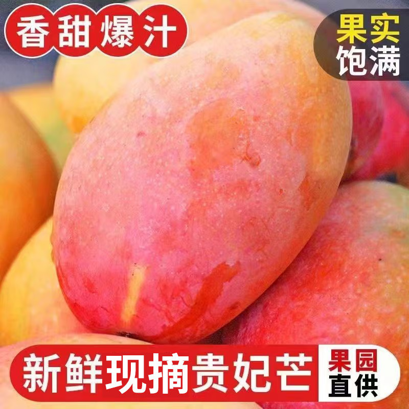 久雅優(yōu)鮮貴妃芒現(xiàn)摘樹上熟當季紅金龍辣椒甜心芒廣西孕婦新鮮水果禮盒 4.5-5斤（100-150g+）
