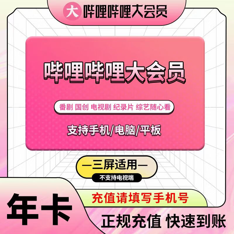 bilibili 嗶哩嗶哩 大會員一年