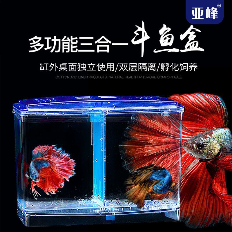 斗魚缸 隔離盒孵化盒