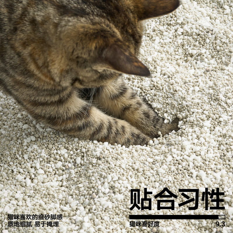 pidan 混合貓砂 木薯膨潤土40%:60% 2.4kg 結團遮臭強吸水皮蛋貓砂