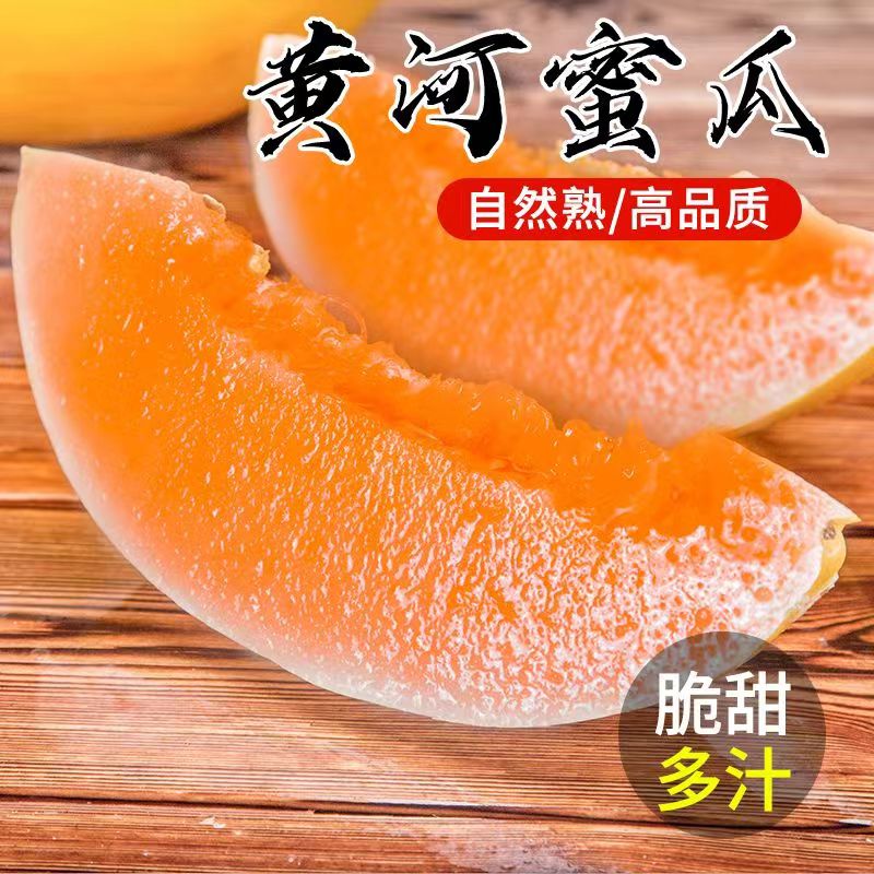 初石 特大果 甘肅民勤 冰糖 沙漠瓜 黃河蜜甜瓜 4.5斤裝（1-2個(gè)）