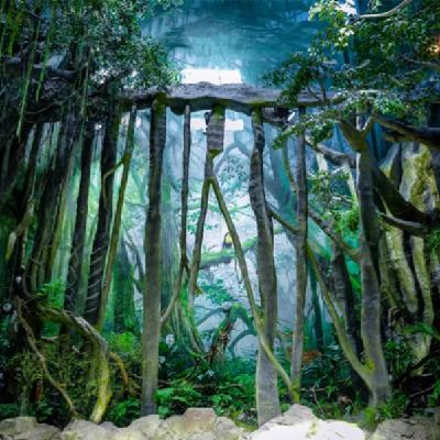 雙11狂歡：包郵區(qū)新晉遛娃寶地，周末/寒假不加價(jià)！舟山長(zhǎng)喬鵜鶘度假酒店 景觀/雨林景致房1-2晚套餐（含2大1小早餐+四季海水浴場(chǎng)體驗(yàn)+雙人海洋公園體驗(yàn)）