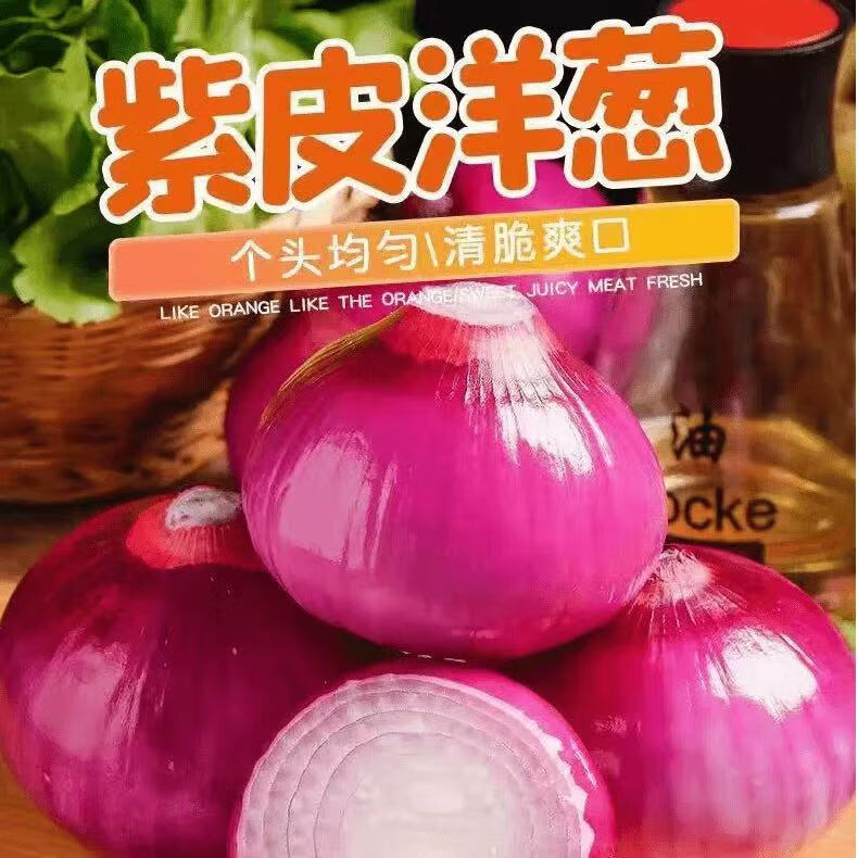 花慕辰紫皮洋蔥脆甜不辣新鮮蔬菜當季水果洋蔥甜味生吃產地直發 優選水果洋蔥 4.25斤 凈 重4.25斤